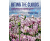 Biting the Clouds