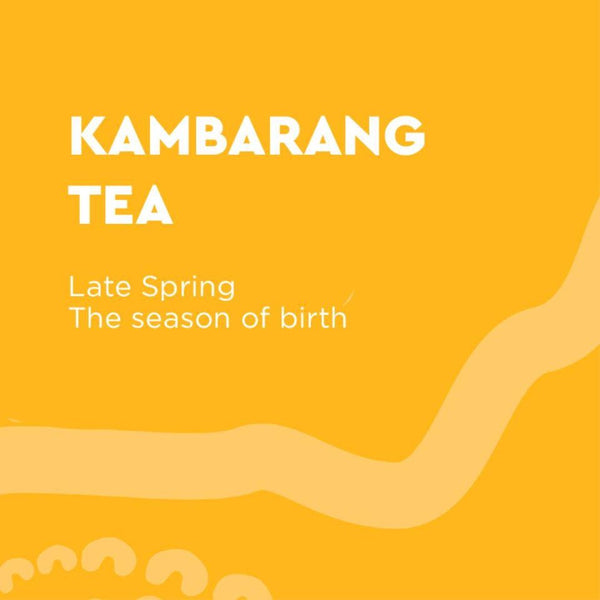 Six Seasons Kambarang Tea