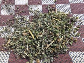 Native Wild Basil (Dried) (30g)