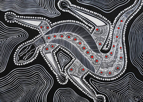 Black & White Goanna 1000